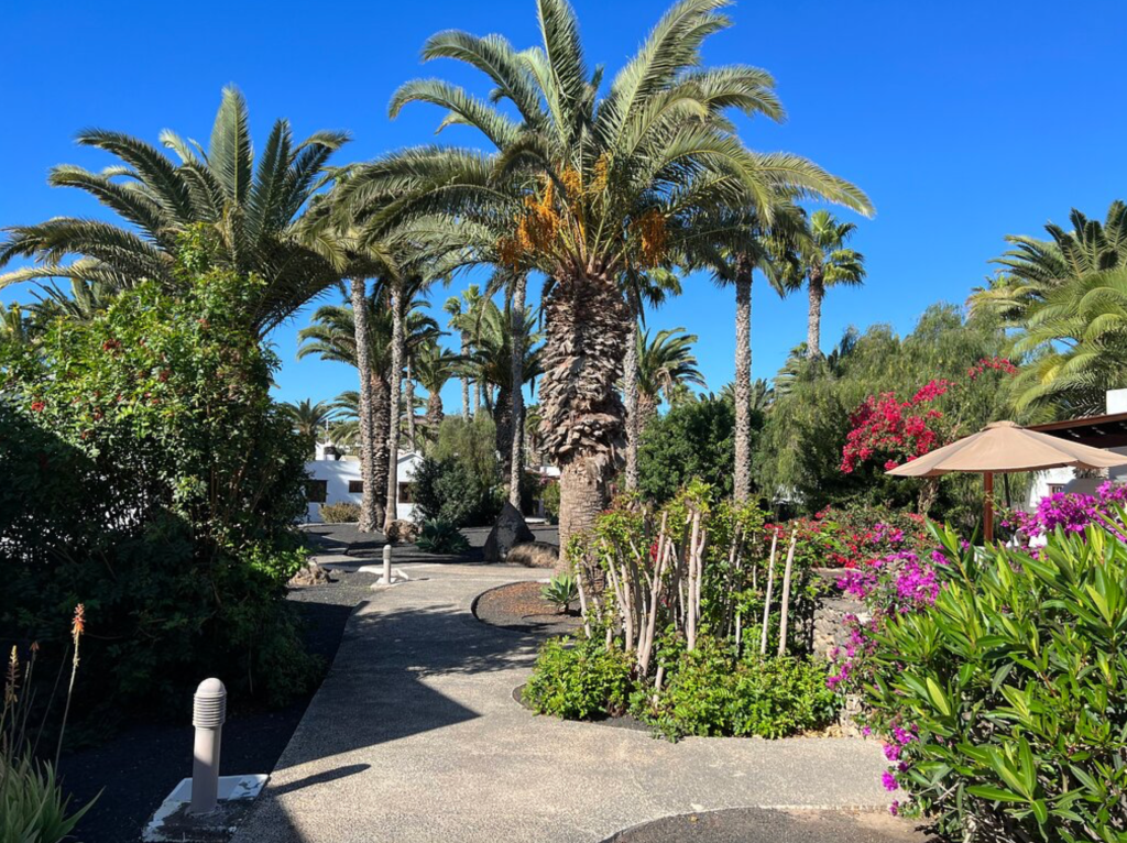 Beautiful resort gardens